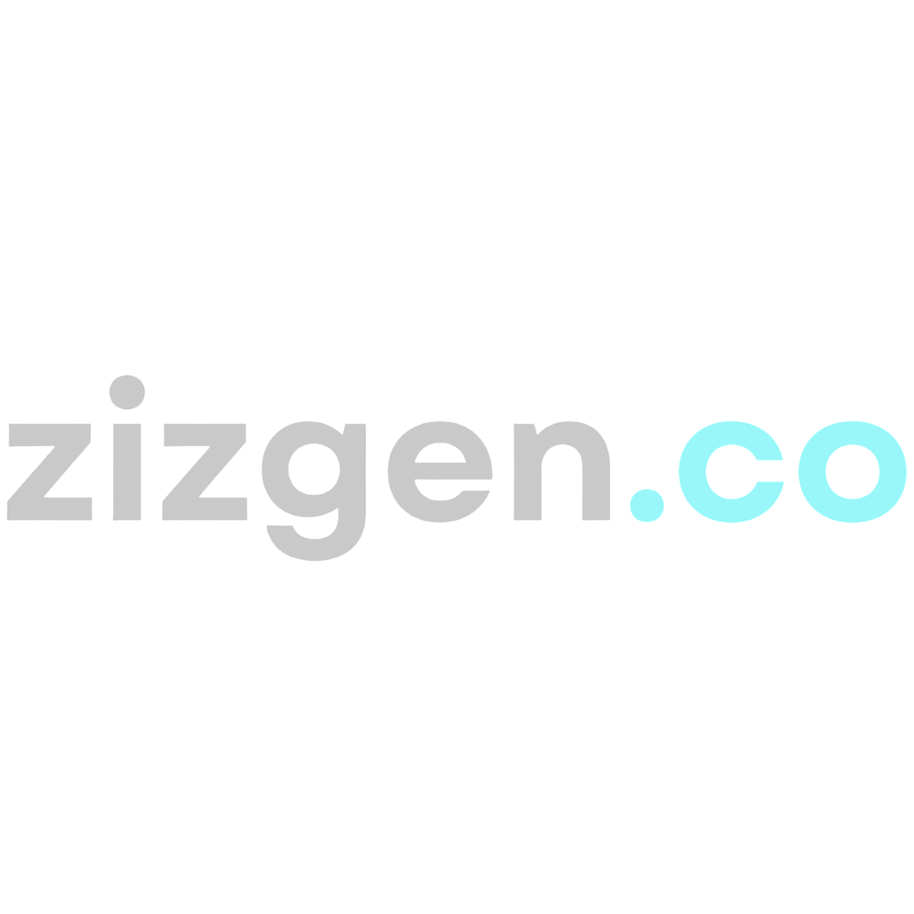 Zizgen.co